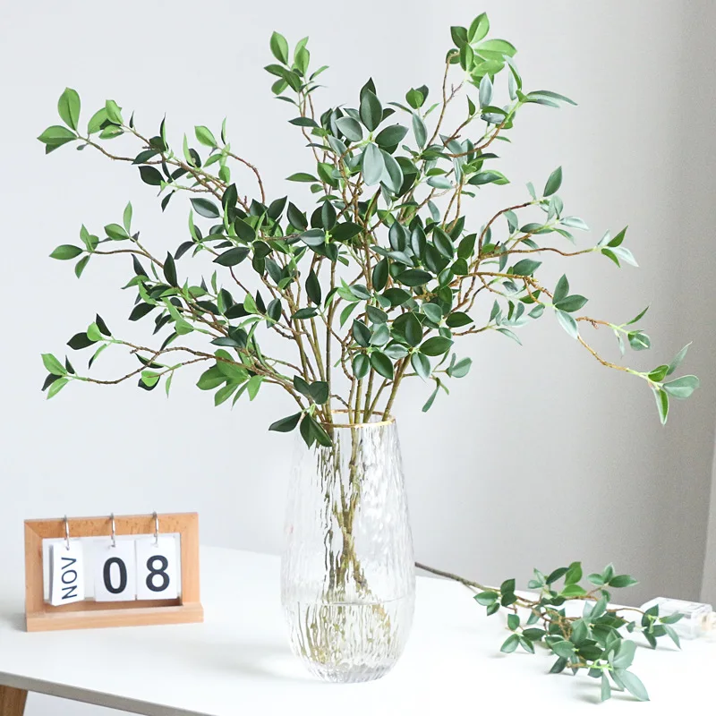 Tenuifolia Ficus rama de árbol - Ficus Lyrata Tree reseña y precio