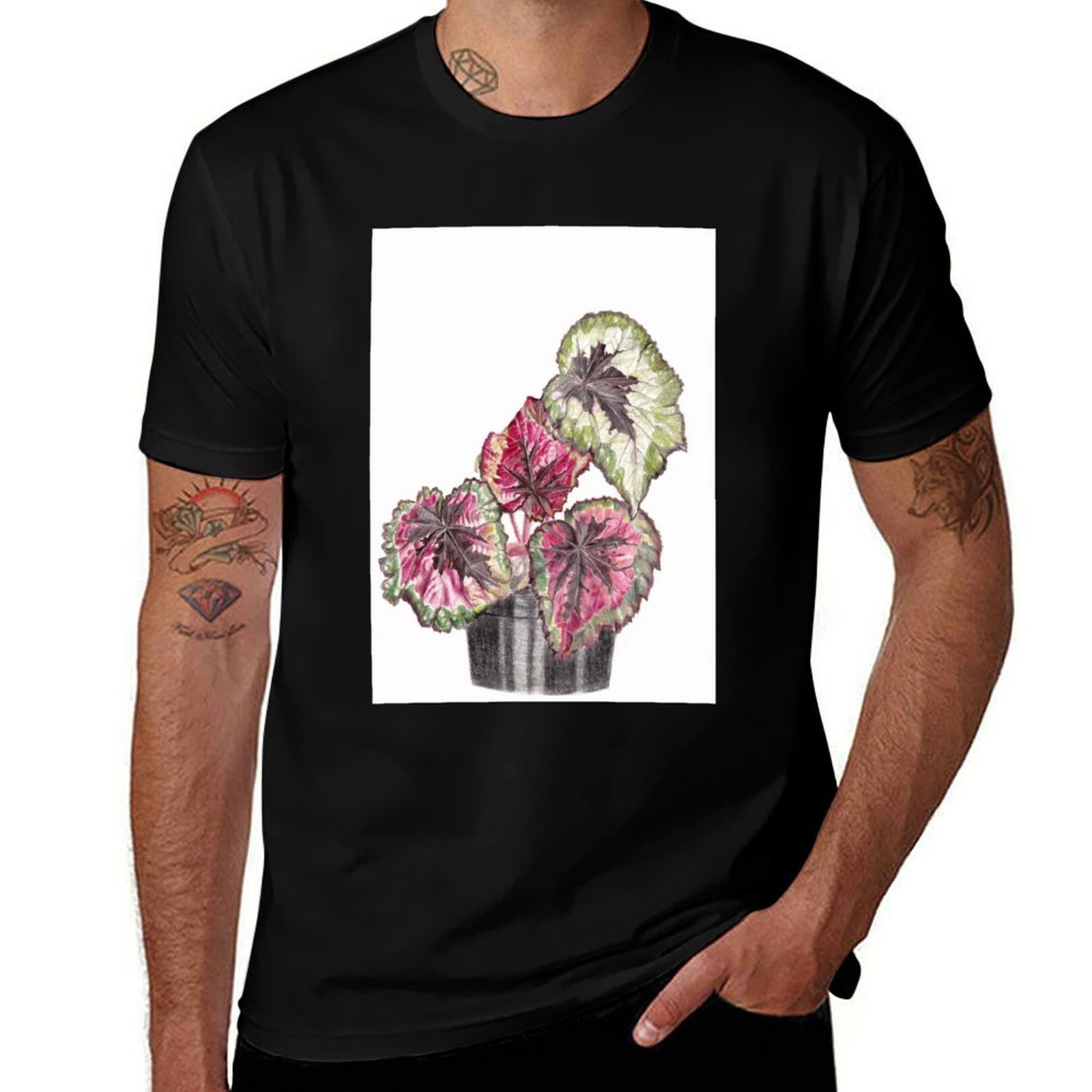 Camiseta Begonia Rex, Camiseta - Begonia Rex reseña y precio