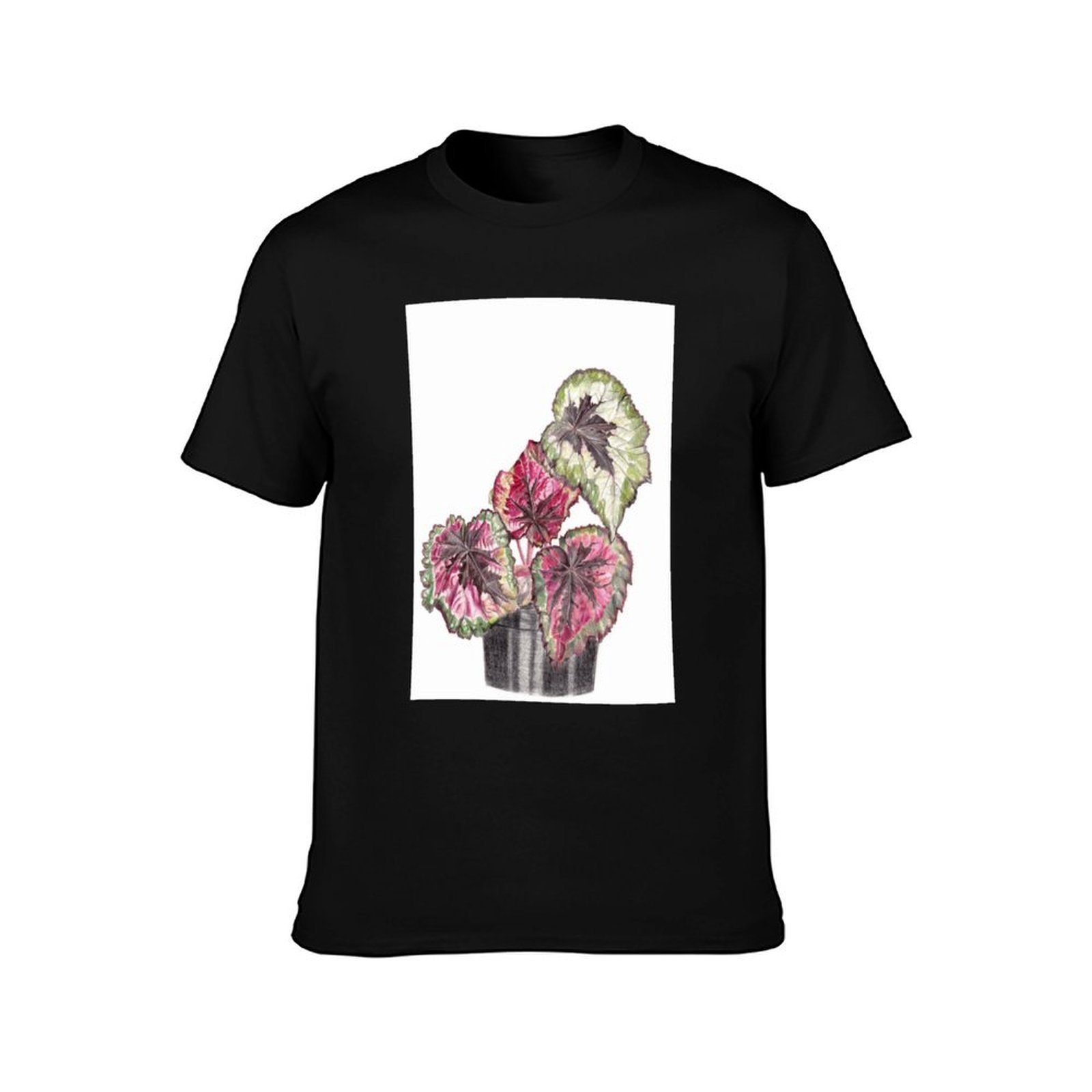 Camiseta Begonia Rex, Camiseta - Begonia Rex reseña y precio